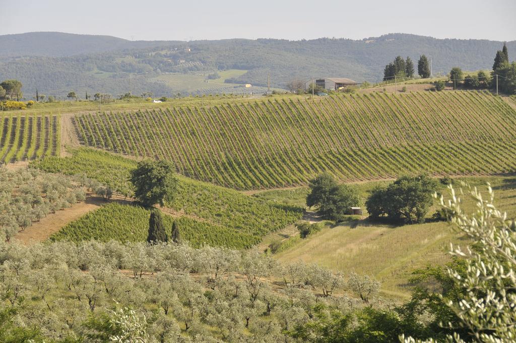 Agriturismo Renai E Monte II Gambassi Terme Eksteriør bilde